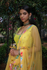 Asymetrical Ochre KalidharIMG_0195