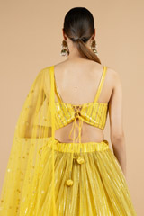 Yellow embellished lehenga setDSC08419