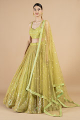 Lime green embellished lehenga setDSC08436