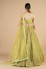 Lime green embellished lehenga setDSC08443