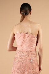 Strapless gownDSC08488