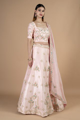 Soft pink lehenga setDSC08764