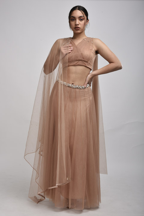 Dusky Peach Net Lehenga
