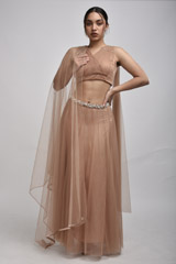 Dusky Peach Net Lehenga