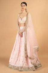 Chikankari baby pink lehenga setDSC03359