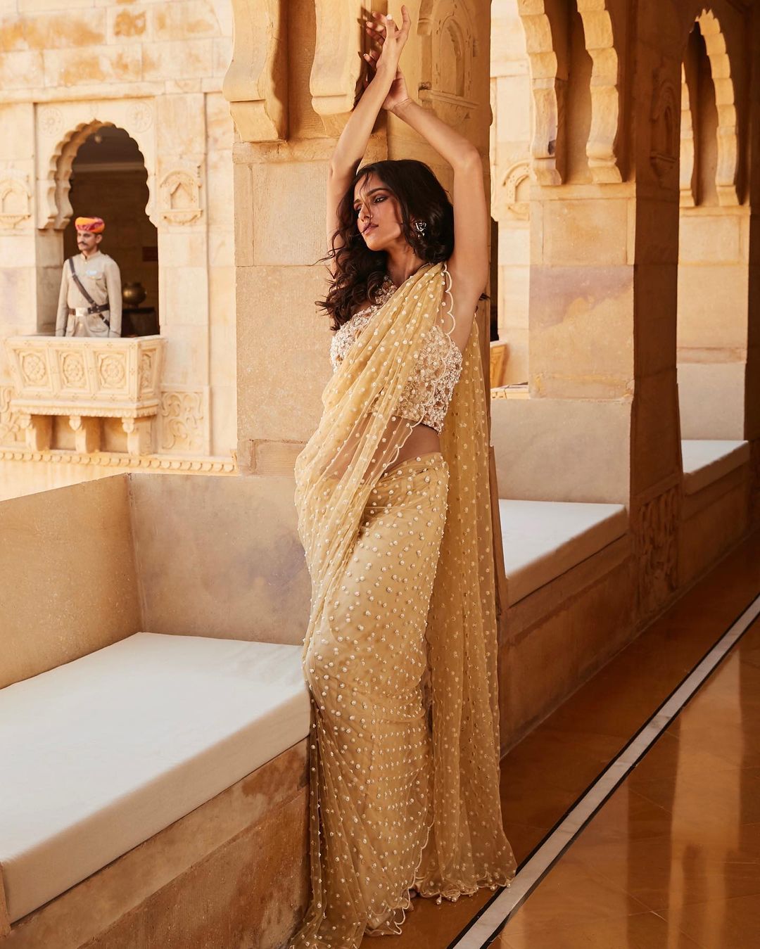 Beige Pearls Saree Set4