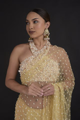 Beige Pearls Saree Set_DTR0184