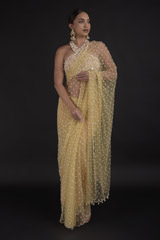 Beige Pearls Saree Set_DTR0188