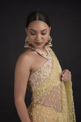 Beige Pearls Saree Set_DTR0190
