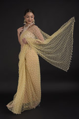 Beige Pearls Saree Set_DTR0192