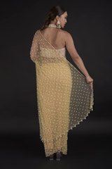 Beige Pearls Saree Set_DTR0194