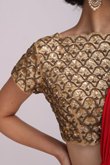 Red Saree GownIMG_9667