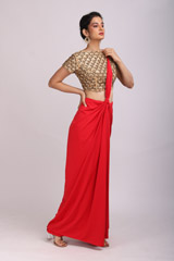 Red Saree GownIMG_9669
