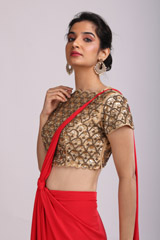 Red Saree GownIMG_9671