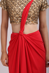 Red Saree GownIMG_9672