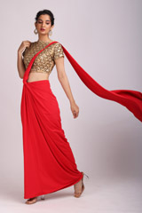 Red Saree GownIMG_9674