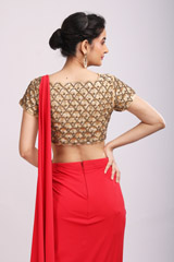 Red Saree GownIMG_9679