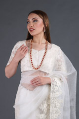 Off White Silk Gauze SareeIMG_3949