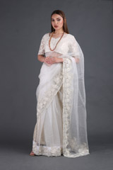 Off White Silk Gauze SareeIMG_3957