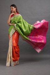 Multi Color Silk SareeIMG_7169