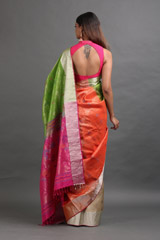 Multi Color Silk SareeIMG_7175