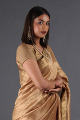 Gold Chevron Chanderi Tissue SareeIMG_4699