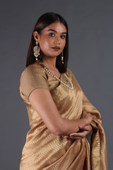 Gold Chevron Chanderi Tissue SareeIMG_4700