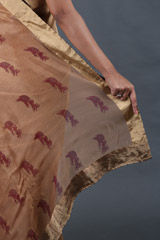 Gold Chevron Chanderi Tissue SareeIMG_4712