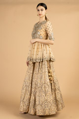 Lehenga SetDSC09093