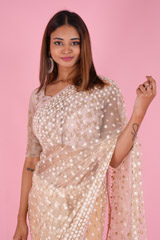 Peach Net Embroidered SareeDSC09566