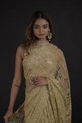 Brown Lace Saree_DTR0383