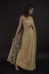 Brown Lace Saree_DTR0385