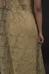 Brown Lace Saree_DTR0389