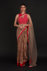 Brown Net Saree