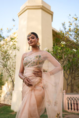 Peach Organza SareeDSC06996