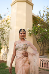 Peach Organza SareeDSC06999