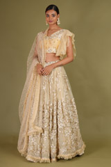 Embellished Beige Lehenga
