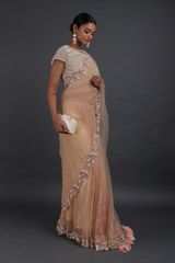 Peach Pearl Net Belt SareeIMG_3394