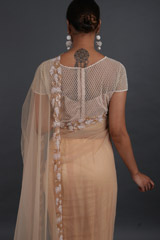 Peach Pearl Net Belt SareeIMG_3418