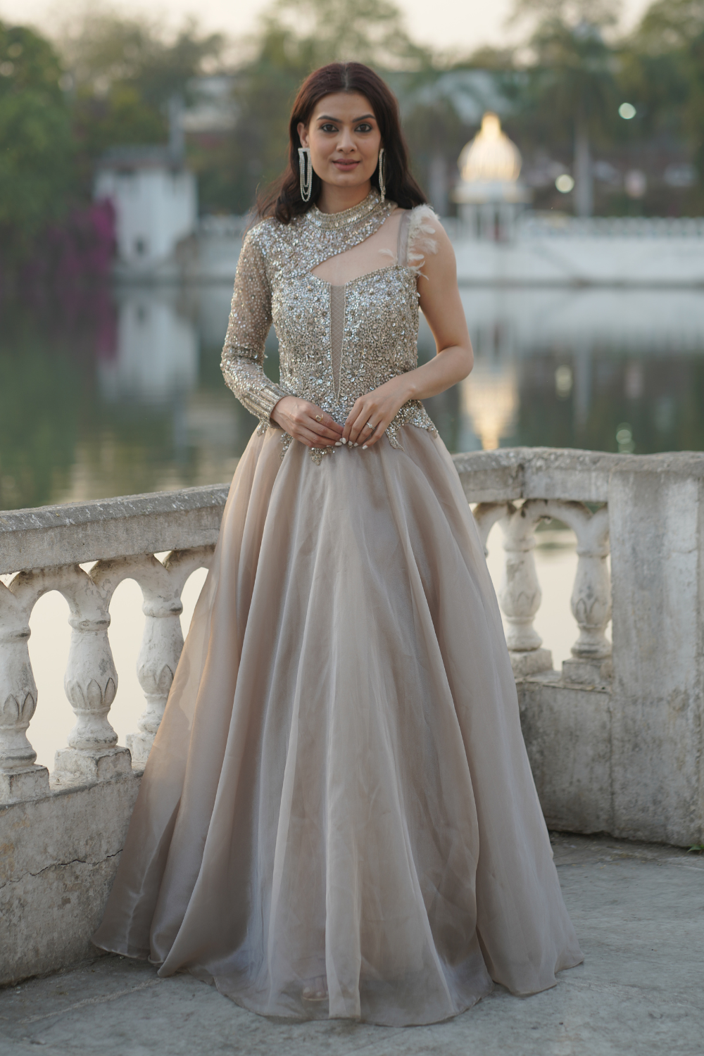 Golden Beige Gown With Silver Embellishment