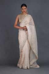 Nude Silk Gauze SareeIMG_4419
