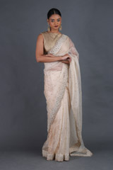 Nude Silk Gauze SareeIMG_4421