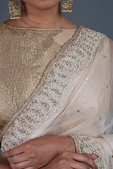 Nude Silk Gauze SareeIMG_4424