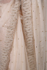 Nude Silk Gauze SareeIMG_4425