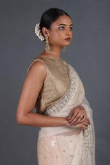Nude Silk Gauze SareeIMG_4426