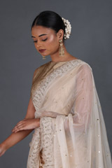 Nude Silk Gauze SareeIMG_4427
