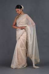 Nude Silk Gauze SareeIMG_4429