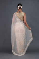 Nude Silk Gauze SareeIMG_4434