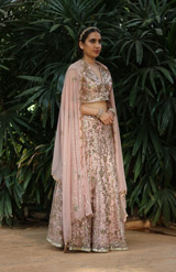 Pink Embellished LehengaIMG_9912