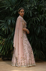 Pink Embellished LehengaIMG_9920